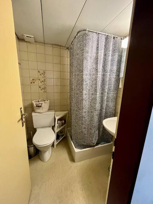 Apartment Near Central Station زيورخ المظهر الخارجي الصورة