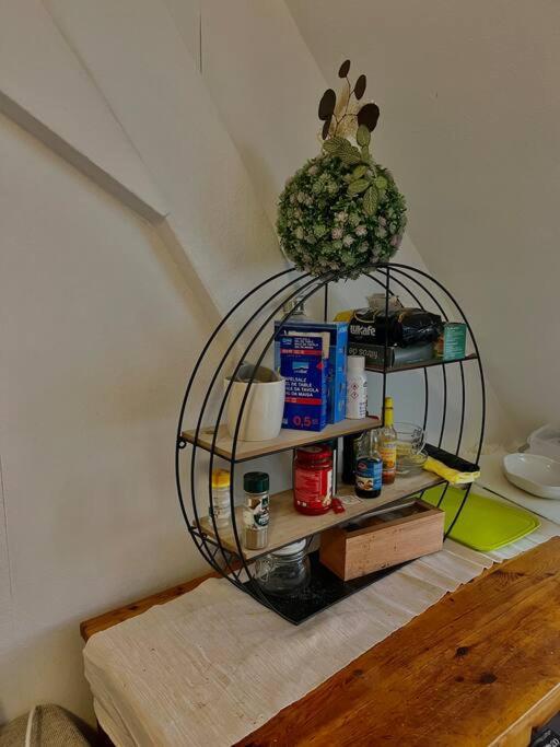 Apartment Near Central Station زيورخ المظهر الخارجي الصورة